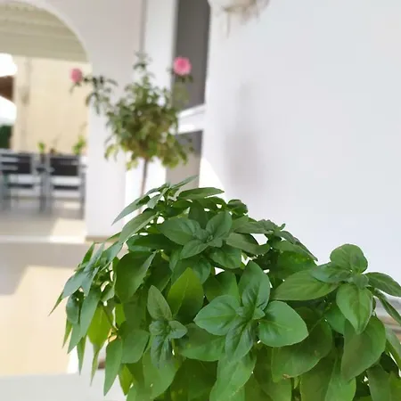 μichaella House * Glinado Naxos